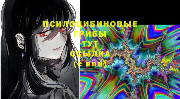 винт Аркадак