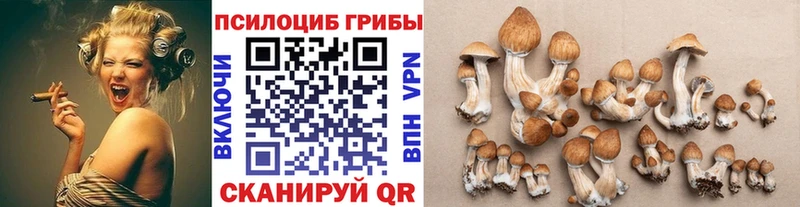 Псилоцибиновые грибы ЛСД hydra ТОР Прохладный как найти наркотики